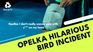 Reilly Opelka HILARIOUS Bird Incident During Match | Melbourne 2022