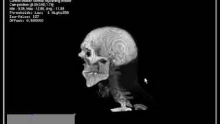 GPU based ray casting with average ray function