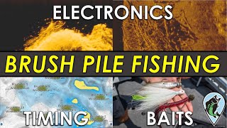 Complete Guide to Brush Pile Fishing | Sonar Images, Areas, Baits, Timing and More for Bass!