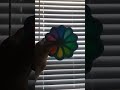 rainbow spinner