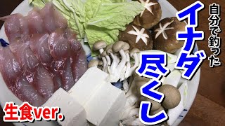 【イナダ料理-生食ver.-】イナダはしゃぶしゃぶで食べるのが一番です(`･ω･´)b