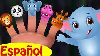 Familia Dedo Elefante (Colección) | Canciones infantiles en Español|ChuChu TV