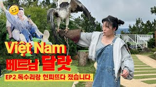 🇻🇳 독수리랑 현피뜨다 졌습니다.[달랏]