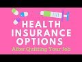 Health Insurance Options After Quitting Your Job