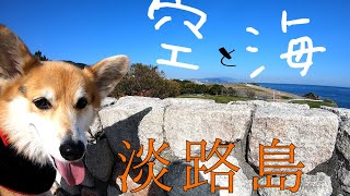 【コーギー犬】淡路島に来てよかった！うちの子記念日\u0026誕生日に明石海峡公園を満喫するもなか家～Happy birthday＆Halloween～