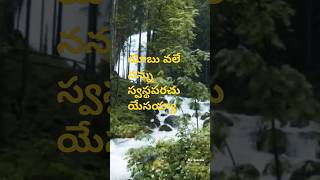 నీ ప్రతి అనారోగ్యంను యేసయ్య స్వస్థపరుస్తాడు  దిగులుపడకు #shorts #ytshorts