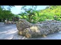 渐行渐远_李英（超好聽） 澳琴海 china tourist attractions video beautiful zhuhai travel check in