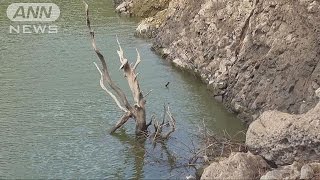 小笠原村・父島で37年ぶり低い貯水率　4カ月で空に(17/05/01)