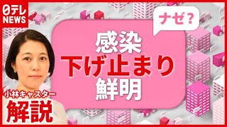 【解説】“宣言”中の東京で３日連続３００人超“感染”…変異株で再拡大も？（2021年3月12日放送「news every.」より）