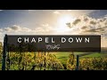 Chapel Down Tour in Kent, Kent Wine Tasting Experience, Chapel Down Vineyard | Review