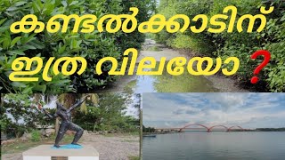 ഏക്കറ് കണക്കിന് കണ്ടൽ കാടുകൾ | Mangrove forest | Ochira | Binocular Talks