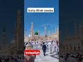 inshaallah one day greenscreen shortvideo beautiful