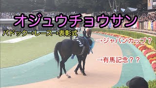 【オジュウチョウサン】南武特別のパドック→レース→表彰式