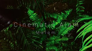 Cinematic Alam Malam || video sinematik alam malam | cinematic alam