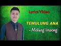 TEMULUNG ANA ~ Molung Imsong | Lyrics Video