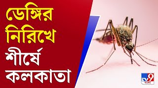 আপনার খবর | মশা আতঙ্কে ত্রস্ত বাংলা, ডেঙ্গি জ্বরে কাবু উত্তর থেকে দক্ষিণ | Dengue in West Bengal