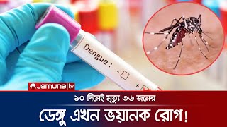 ডেঙ্গুর ভয়াবহ রূপ; অক্টোবরের প্রথম ১০ দিনেই মৃত্যু ৩৬ জনের | Dengue | Jamuna TV