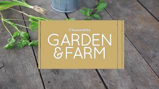 Garden \u0026 Farm Vol.9 : ผักสวนครัวรั้วกินได้