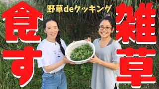 道端の雑草食べてみた！！野草deクッキング☆シロノセンダングサ