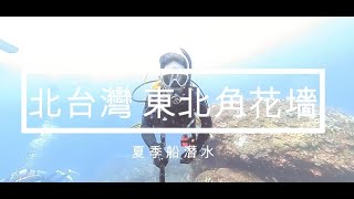 北台灣東北角花墻潛水 船潛