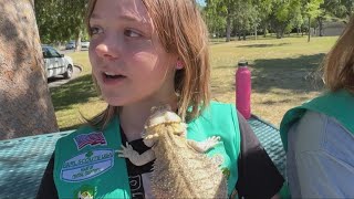 Carmichael Girl Scout creates first exotic pet rescue fair in Sacramento