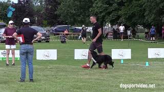 Qualifications – Marvin Hahn + Mind the Dog Xtra Ice / Border Collie – GERMANY