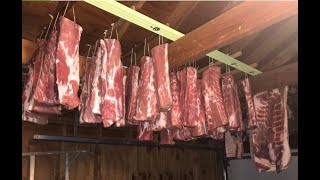 How to Dry, Cure and Smoke meat All in one video