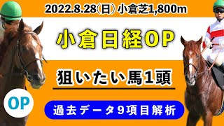 【小倉日経オープン2022】過去データ9項目解析!!どんなレースかを掴める動画です!!買いたい馬1頭について(競馬予想)