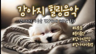 강아지힐링음악 10시간 | 강아지가 잘때 들려주는 음악