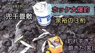 2024年1月3日　マジわや！ホッケ釣れすぎ！兜千畳敷！