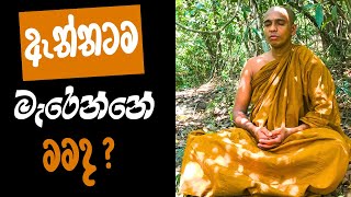 මරණය යනු කුමක්ද? ඇත්තටම මැරෙන්නේ මමද? | ආලෝකෝ උදපාදි