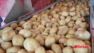 Cosecha de patatas El Carpio (Valladolid) GRIMME | Alfersán Maquinaria Agrícola