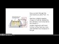 6.1.3. Manipulating genomes PART 2 a) sequencing and e) electrophoresis