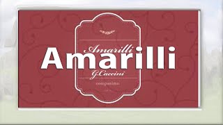 Amarilli(slow ver.)g:/accompaniment・伴奏（楽譜付き）