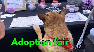 🐾 Dog Adoption Fair – Find Your New Best Friend! 🐾