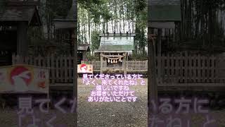 静岡県浜松市北区三ヶ日町　初生衣神社にて