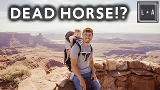 Camping in Utah's BEST State Park - DEAD HORSE POINT + CANYONLANDS!