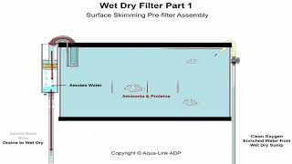 Aquarium Wet Dry Filters How do they Work