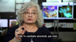 ANM - Roxana Bojariu - Matematica meteorologilor