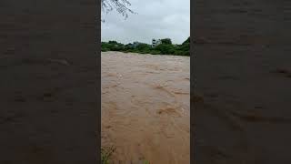 chitvel gunjana river has filled after five years back back chitvel is happy to see this