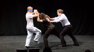 Blindfolded kung fu: Ross Sargent at TEDxGranta