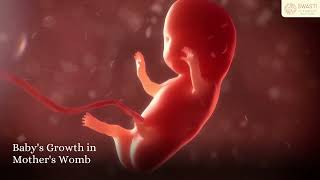 Baby's growth in Mother's Womb by Dr Shreekala Kakatkar, Nashik