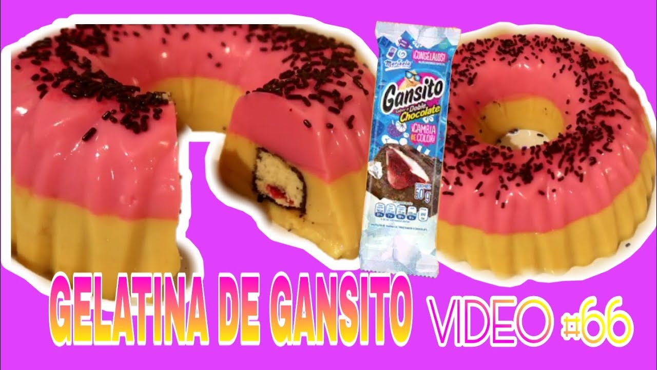 GELATINA DE GANSITO Fácil Y Rica 💖 - YouTube