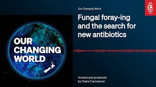 Fungal foray-ing and the search for new antibiotics | Our Changing World