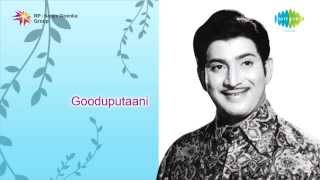 Gooduputani | Thanivi Theera song