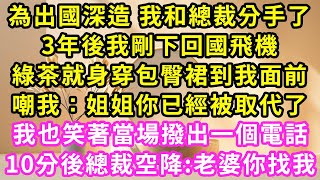 為出國深造 我和總裁分手了，3年後我剛下回國飛機，他秘書穿著包臀裙扭到面前，嘲我姐姐你已經被取代了！我也笑著當場撥出一個電話，10分後總裁空降:老婆你找我#甜寵#灰姑娘#霸道總裁#婚姻#小嫻說故事