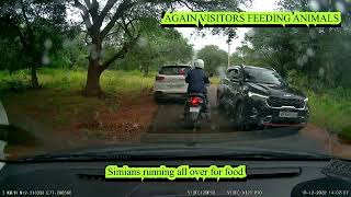 BENGALURU To BHEEMESHWARI TRIP- DASHCAM - MUTHATHI FOREST VISIT - SPOTTED DEER MONKEYS WILD BOAR