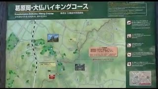 【鎌倉ハイキング】葛原ヶ岡ハイキングコース　浄智寺から葛原岡神社