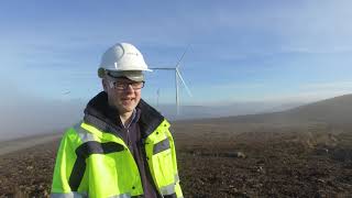Vattenfall Wind Farm Project Manager
