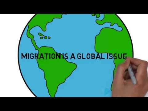 What are the main causes of immigration?